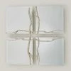 Global Views Twig Mirror-Silver Leaf-Sm