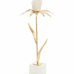 John Richard Quartz Daisey II