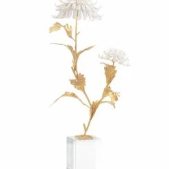 John Richard Avignon Chrysanthemums