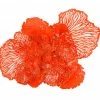 Phillips Collection Flower Wall Art Coral